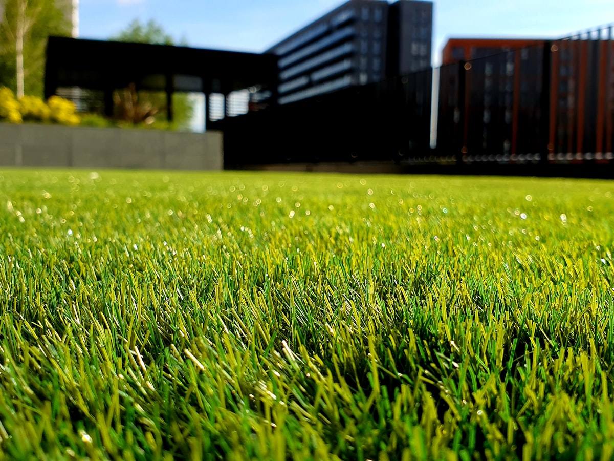 Landscaped garden path and outdoor greenery
